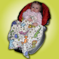 My Carseat Blankie Stylish, Chic, Soft, Safe! 