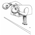Bat Grabber