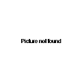 1862?Width=245&Height=245