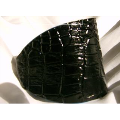 Heel Shield