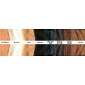 Divine Dzion Hosiery