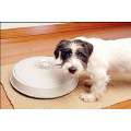 8 Day Automatic Pet Feeder