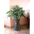 SOUND PLANTER ™
