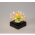 The Amazing Candle