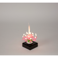 38929?Width=245&Height=245