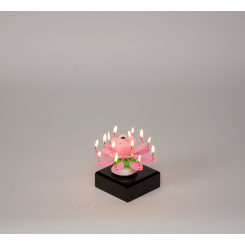 38932?Width=245&Height=245
