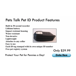 Pet Talk ID Tag