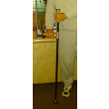 Pole Plunger