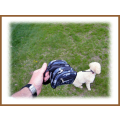 Poochy Pouch