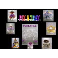 PIX N' TRAY™ ~ A Unique Multi- Purpose Serving Tray