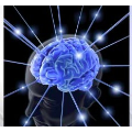 Mental Surge