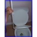 Potty Pole™