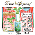 Nature's Greeting Plant 