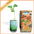 Grow your own 