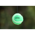 FITTBALL