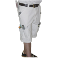 Painter shorts