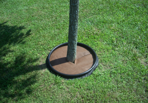 1032?width=303&height=210&timestamp=1752396335.0868