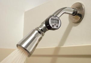 1081?width=303&height=210&timestamp=1746495306.27873