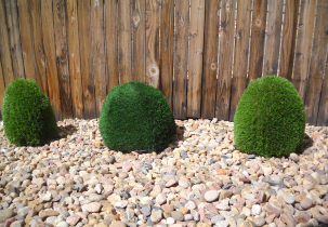 1146?width=303&height=210&timestamp=1752396911.52021