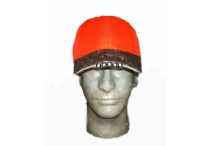 1254?width=303&height=210&timestamp=1752397121.95649
