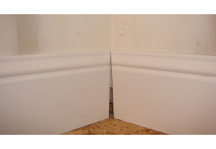 1550?width=303&height=210&timestamp=1746495306.27873