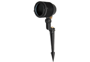 1597?width=303&height=210&timestamp=1752394775.80362