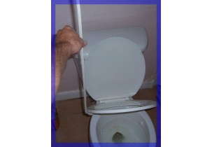 1886?width=303&height=210&timestamp=1746772902.57203