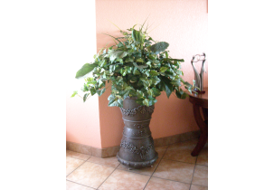 259?width=303&height=210&timestamp=1752398803.60419