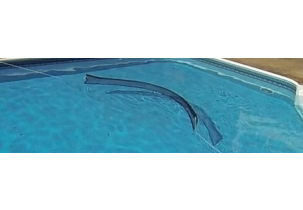 3595?width=303&height=210&timestamp=1752394512.11062