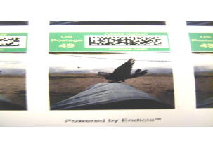 4181?width=303&height=210&timestamp=1746727920.73328