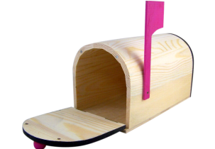 4223?width=303&height=210&timestamp=1746772952.9337