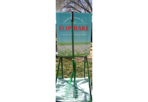 4826?width=303&height=210&timestamp=1746533307.04496