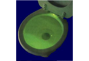 511?width=303&height=210&timestamp=1752395886.36306