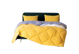 5135?width=303&height=210&timestamp=1746085794.96728