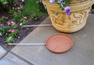 601?width=303&height=210&timestamp=1752396911.52021