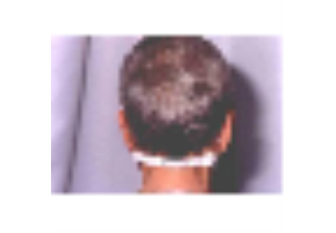 604?width=303&height=210&timestamp=1752395264.66307